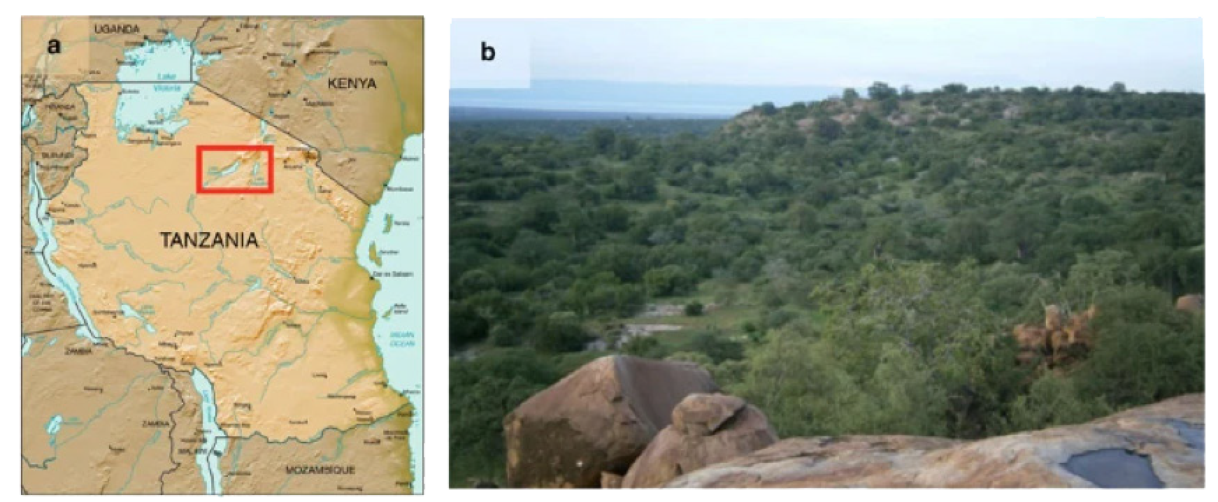 A map highlighting a region in northeastern Tanzania is shown alongside a photograph of a rocky overlook with dense green vegetation and a distant horizon. Description generated by AI